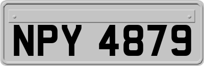 NPY4879