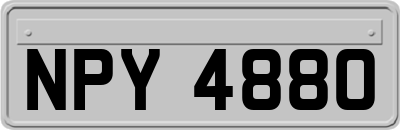 NPY4880