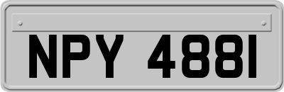 NPY4881