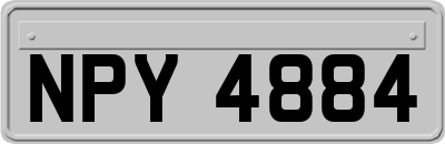 NPY4884