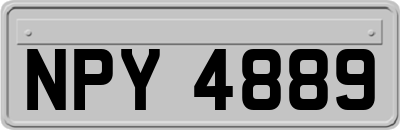 NPY4889