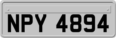 NPY4894