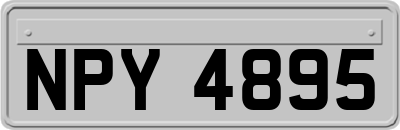 NPY4895