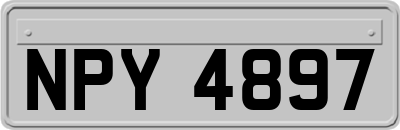 NPY4897