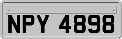 NPY4898