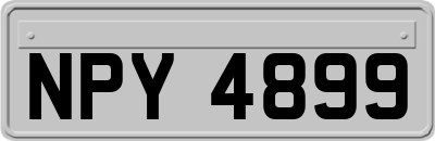 NPY4899