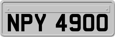 NPY4900
