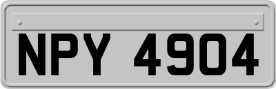NPY4904