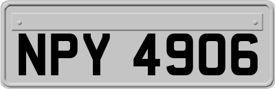 NPY4906