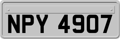 NPY4907