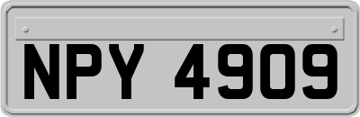 NPY4909
