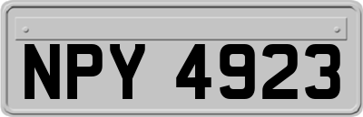NPY4923