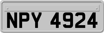 NPY4924