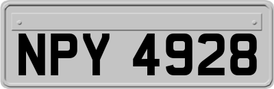 NPY4928
