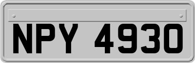 NPY4930