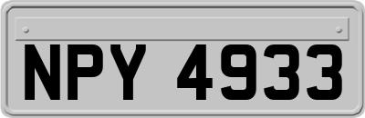 NPY4933