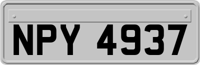 NPY4937