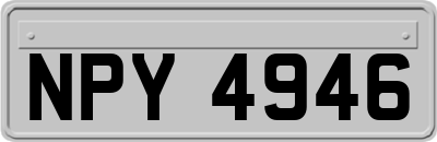 NPY4946