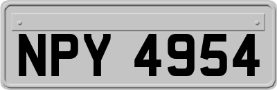 NPY4954