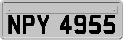 NPY4955