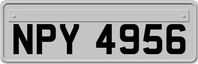 NPY4956