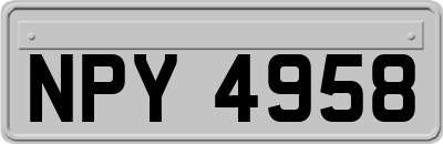 NPY4958