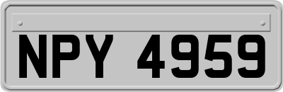 NPY4959