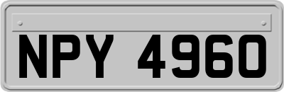 NPY4960