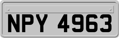 NPY4963