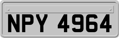 NPY4964