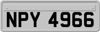 NPY4966