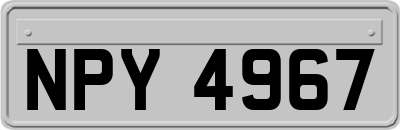 NPY4967