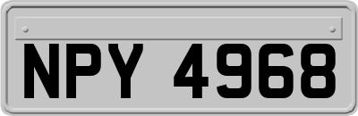 NPY4968