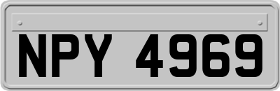 NPY4969