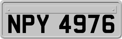NPY4976