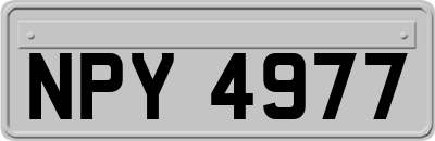 NPY4977