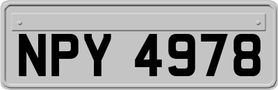 NPY4978
