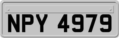 NPY4979