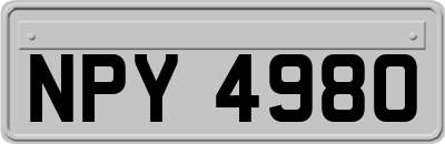 NPY4980
