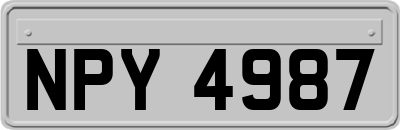 NPY4987