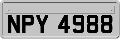 NPY4988