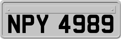 NPY4989