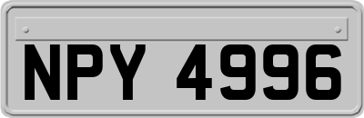 NPY4996