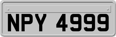 NPY4999