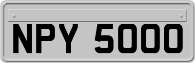 NPY5000