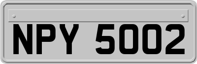 NPY5002