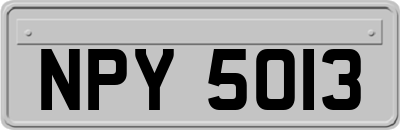 NPY5013
