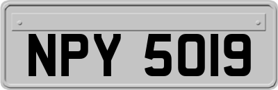 NPY5019