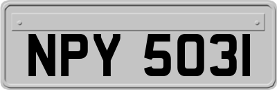 NPY5031