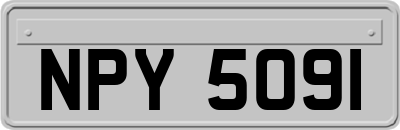 NPY5091